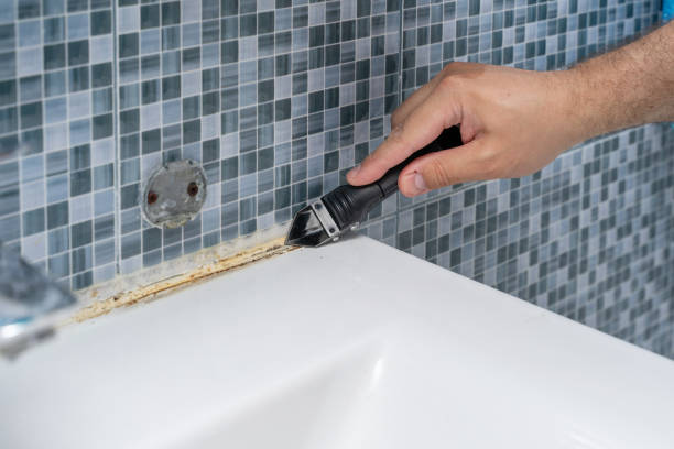 Best Residential Mold Removal  in Glen Allen, VA
